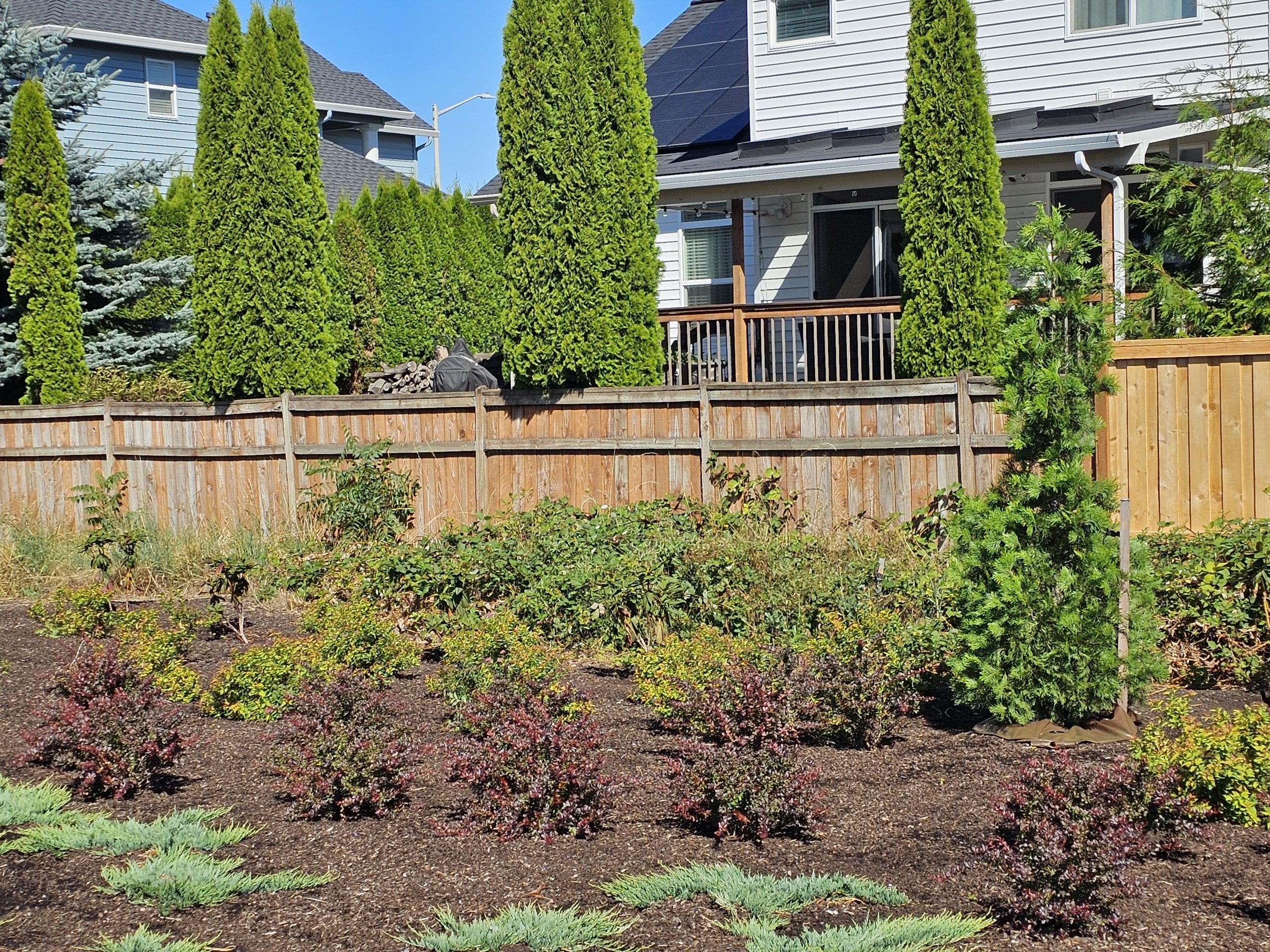 How Storms Can Damage Your Fence?